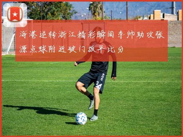 海港逆转浙江精彩瞬间李帅助攻张源点球附近破门扳平比分