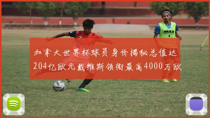 加拿大世界杯球员身价揭秘总值达204亿欧元戴维斯领衔最高4000万欧