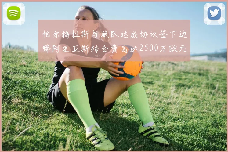 帕尔梅拉斯与狼队达成协议签下边锋阿里亚斯转会费高达2500万欧元