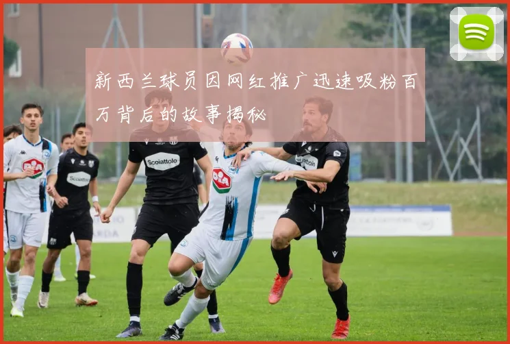 新西兰球员因网红推广迅速吸粉百万背后的故事揭秘