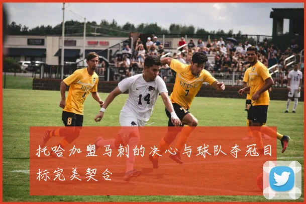 托哈加盟马刺的决心与球队夺冠目标完美契合